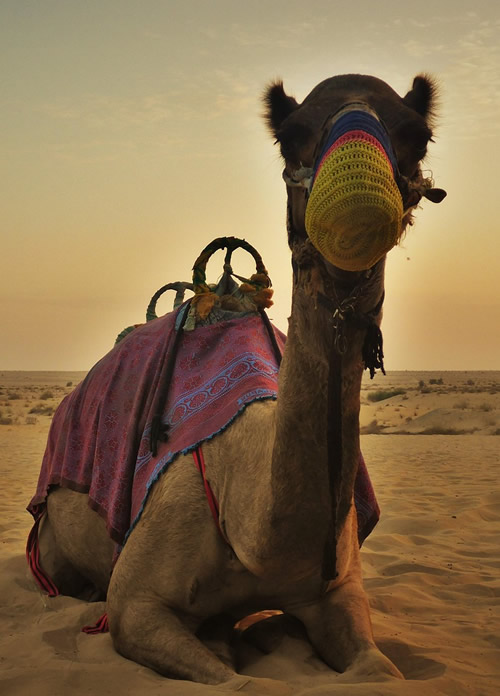 Middle East